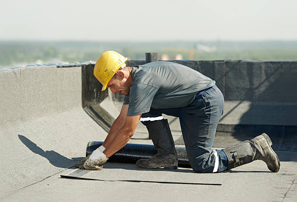 Best Insulation Maintenance and Repair in Lake Waynoka, OH
